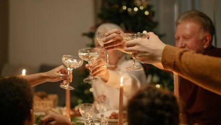 Groep mensen die met stijlvolle glazen toosten aan tafel met op de achtegrond een kerstboom