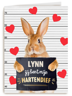 valentijn kaart konijn grappig jij bent mijn hartendief