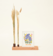 Brievenbuspakket Kaartenhouder Deluxe Droogbloemen Flowershot