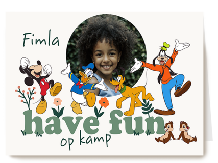 Mickey Friends Have Fun Kamp