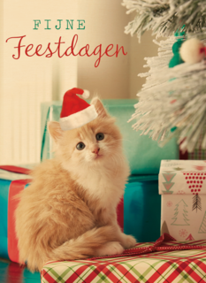kerstkaart fijne feestdagen feest