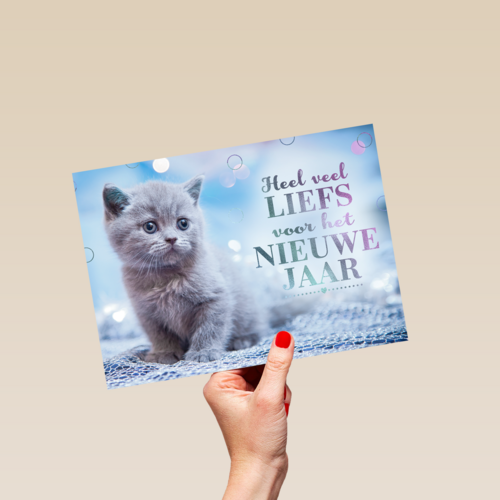 nieuwjaar kaart kat heel veel liefs voor het nieuwe jaar