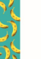een dagje ouder maakt alleen uit voor een banaan