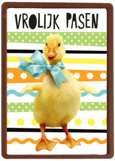 vrolijk paaskuiken