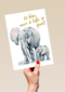 de grote liefde van een olifant