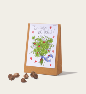  Bloemenzaden Klavertje Vier Geluk Matia Studio 