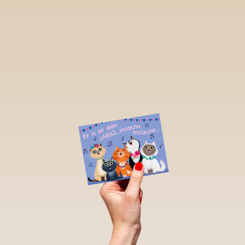 Er is er een jarig Miauw Miauw