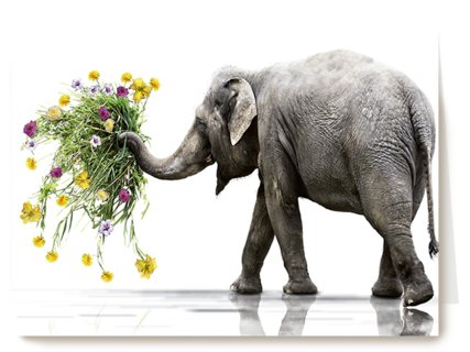 Chromazone Olifant boeket