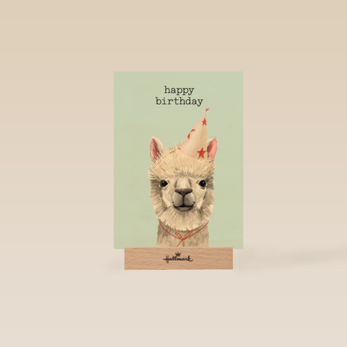 verjaardag kaart hip happy birthday lama alpaca