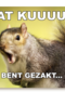 gezakt kaart wat kuuuut