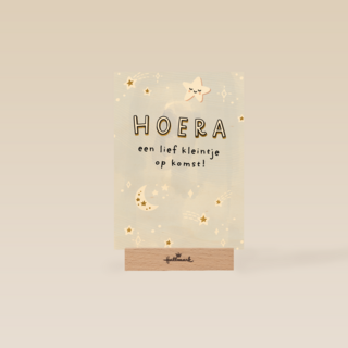 Hoera een lief kleintje op komst