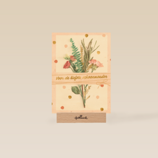 Voor de liefst schoonmoeder