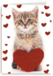 valentijnskaart klassiek poes met hart