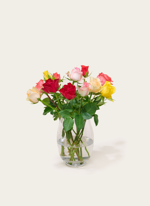 Brievenbusbloemen Rozen Taylor | Hallmark Cadeau Bloemen En Planten |