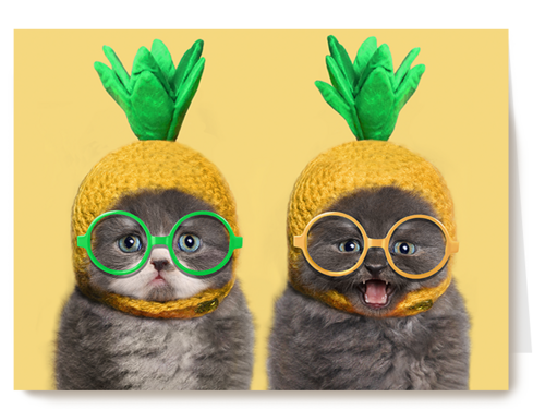 Chromazone kittens bril