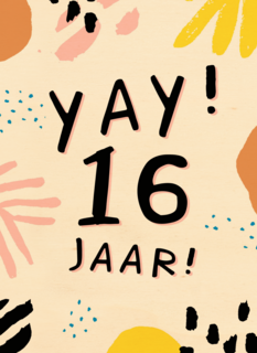 Verjaardagskaart Tiener jongen meisje 16 jaar yay