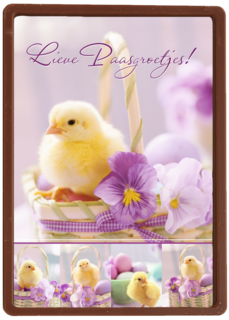 Kuiken in mandje met viooltje lieve paasgroetjes