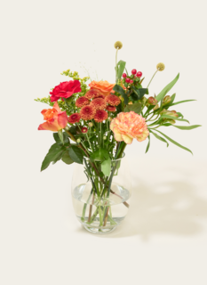 Brievenbusbloemen Oranje Herfst