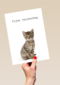 Verjaardagskaart Furry cuddles poes