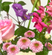 Boeket Alexia Met Janzen Shower Foam Euphoria