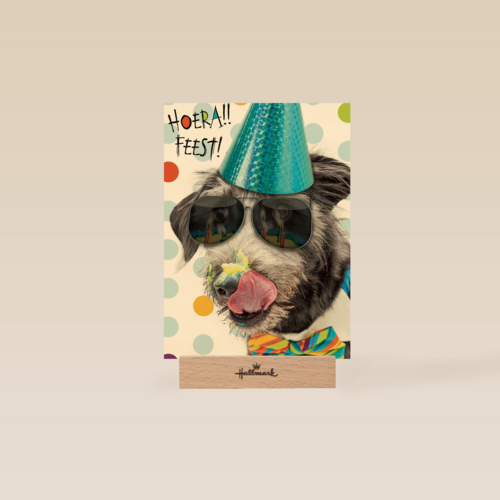 hoera feest hond met zonnebril
