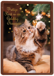 Prettige kerst en gelukkig nieuwjaar kat