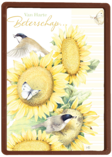 zonnebloemen met mus beterschap