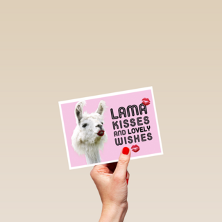 lama kisses and wishes