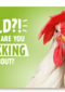 old what are you tokking about