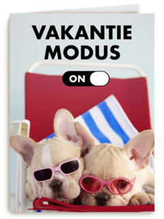 vakantiemodus aan staykation
