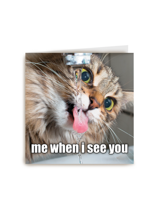 Valentijnskaart grappig Me when I see you