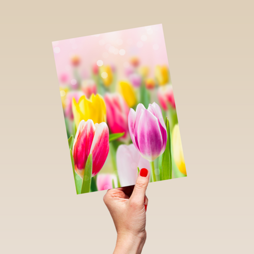 lente kaart tulpen voorjaar