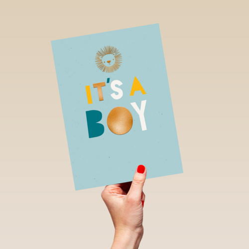 Leeuw it is a boy