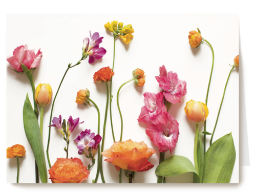 veldbloemen