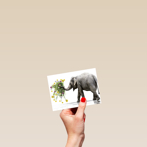Chromazone Olifant boeket