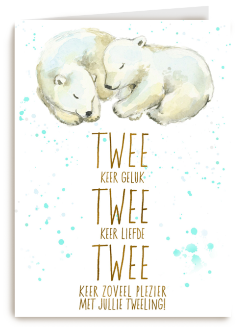2 keer geluk 2 keer liefde 2 keer plezier met jullie tweeling