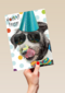 hoera feest hond met zonnebril