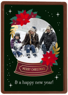 Kerst Foto Snowglobe