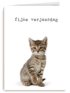 Verjaardagskaart Furry cuddles poes