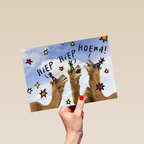 Hiep Hiep Hoera Kamelen