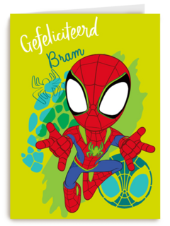Gefeliciteerd Spidey and Friends