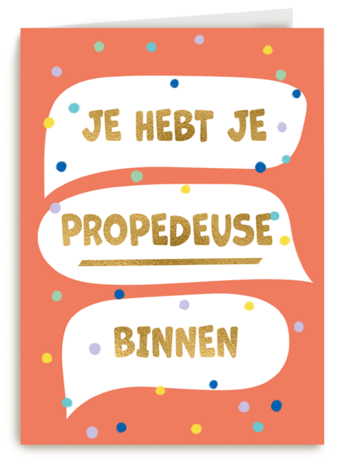 Je hebt je propedeuse binnen
