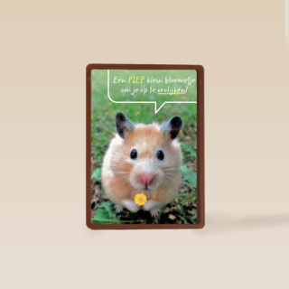 een piepklein bloemetje voor jou