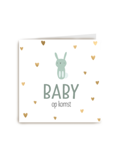 zwangerschap aankondiging baby zoon op komst