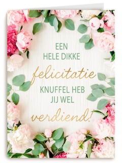 gefeliciteerd kaart felicitatieknuffel heb jij wel verdiend