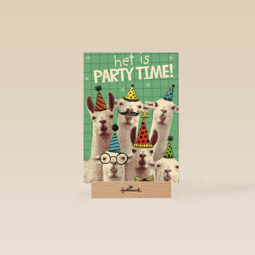 het is partytime met deze lamas