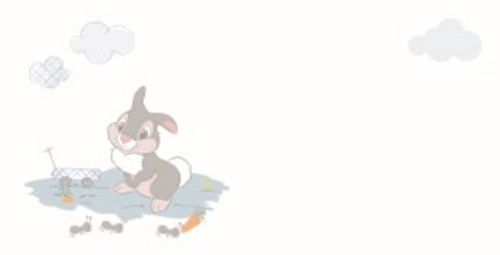 disney baby hoera een lief broertje