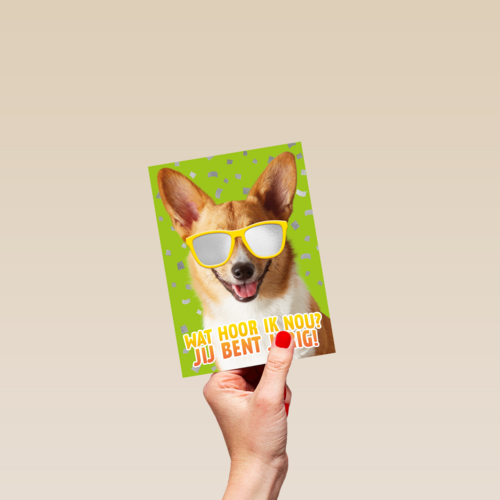 wat een coole hond voor je verjaardag