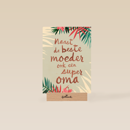 naast de beste moeder ook een superoma