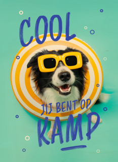 Op kamp hond bril